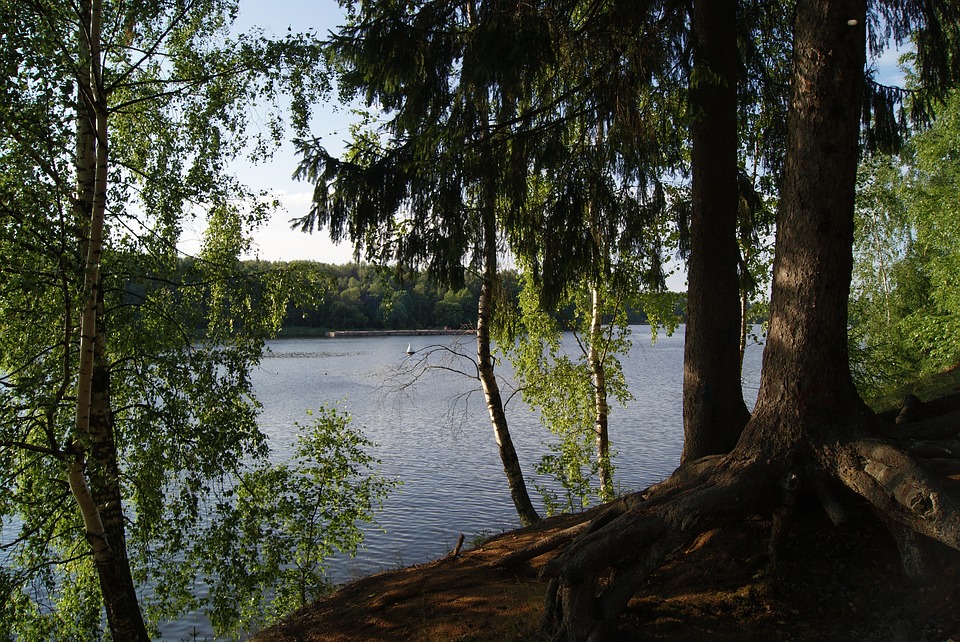 Juhannushartaus Kapeen Honkaristillä Kapeen Honkaristi